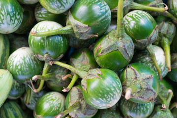 Fototapeta na wymiar thai fresh green eggplants vegetable in market