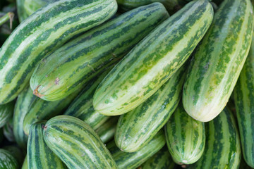 huge raw green cucumber vegetable in market