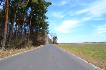 droga asfaltowa wzdłuż lasu