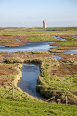 Dutch salt marsh in autumn colors: nature reserve "Koudekerkse Inlage", Oosterschelde NP, Schouwen-Duiveland, Zeeland, Netherlands © roelmeijer