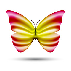 abstract vector butterfly isolated on white background
