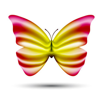 abstract vector butterfly isolated on white background