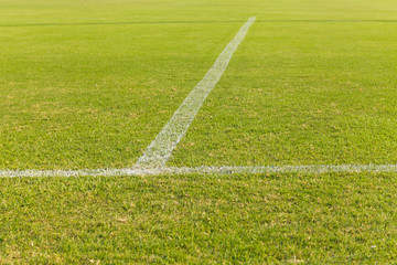 Obraz premium Green grass on the football field