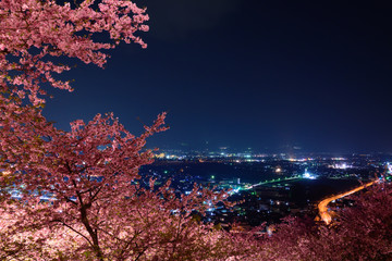 北海道函館表夜景函館山からの風景asia Wall Mural As Scirocco340
