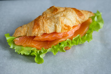 croissant with salmon and salad