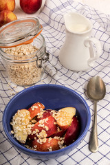 healthy breakfast with oatmeal and apple pieces