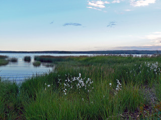 Seenlandschaft in Finnland