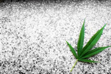 Marijuana leaf on marble stone desk background