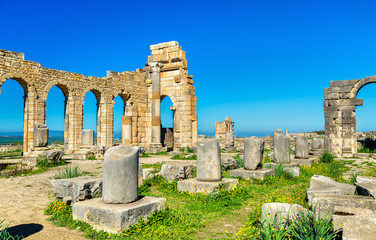 Ruins of a roman basilica at Volubilis, Morocco