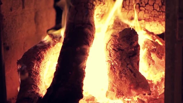Wood in Bonfire
