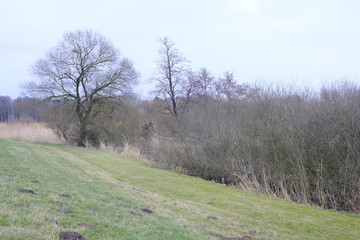 An der Wümme im Winter