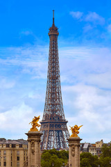 Fototapeta na wymiar Eiffel tower from Pont Alexandre III in Paris