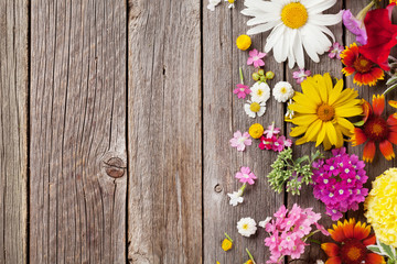 Obraz premium Garden flowers over wooden background