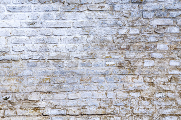 old vintage brick wall with white paint