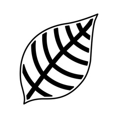 leafs plant natural icon vector illustration design