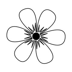 cute flower isolated icon vector illustration design
