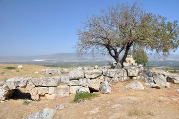 Peel and stick wall murals Rudnes Laodicea ruins