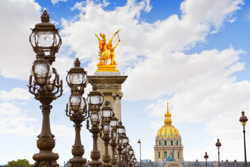 Obraz premium Alexandre III Bridge w Paryżu Francja nad Sekwaną