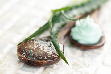 Aloe skin care products.