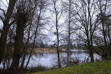 Obraz premium An der Wümme im Winter