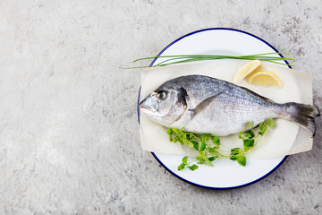 Fresh raw fish, dorado on a plate with herbs and slices of lemon. Grey stone background. Top view.