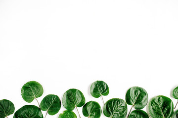 Green leaves pattern on white background. Flat lay, top view. Blog header