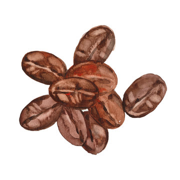 watercolor coffee beans