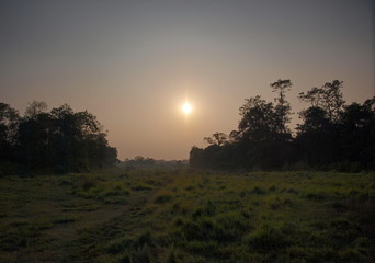 chitwan national park