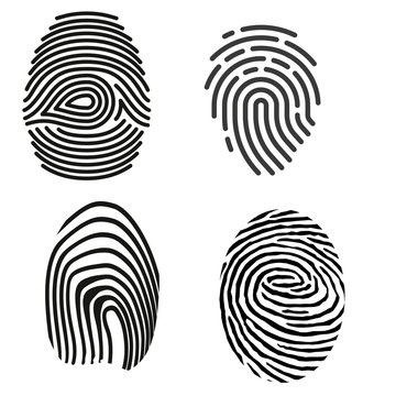 grey fingerprint types detailed vector set