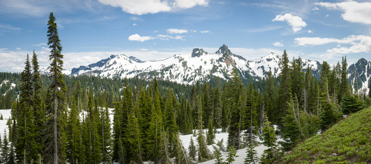Mount Rainier Nat'l Park from Paradise, WA, USA