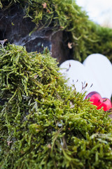 two hearts on moss