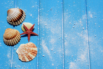Seashells on blue wooden table