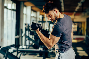 Handsome man doing biceps lifting with dumbbell in a gym