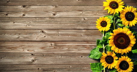 sunflowers on wooden board