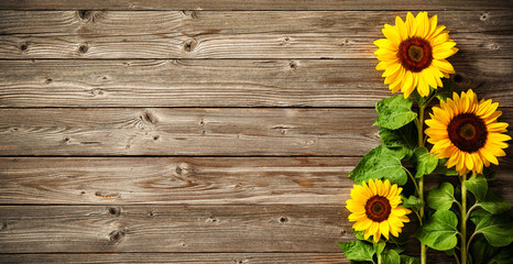zonnebloemen op houten plank