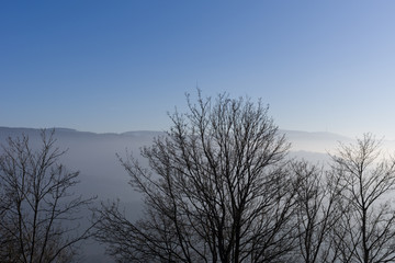 Fototapeta na wymiar View from Yburg castle in direction mountain Hornisgrinde with fog in the valley and trees in foreground