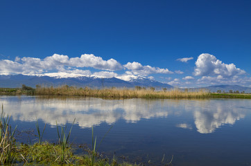 Fototapeta premium Beautiful landscape - Lake with reflection