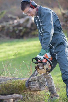 Man chainsawing through tree trunk