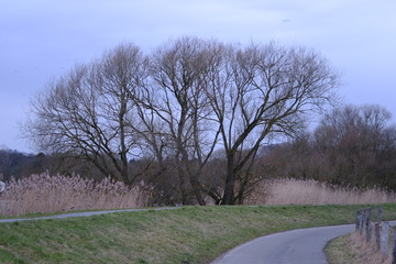 An der Lesum im Winter in Bremen-Lesum