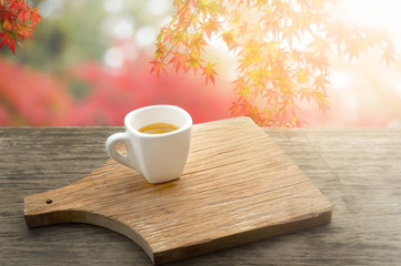 Cup of coffee espresso mug on old bark in autumn with tree maple of colorful leaves in the garden  with copy space. Seasonal fall and beautiful relax concept.