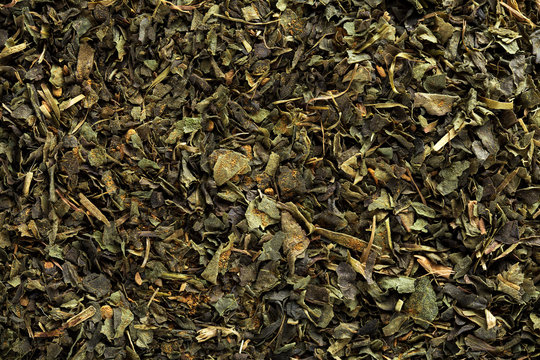 Indian green tea with cinnamon background