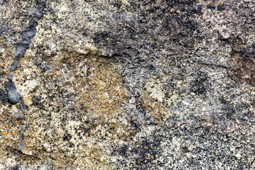 Stone Texture Background A