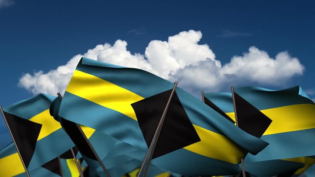 Waving Bahamian Flags