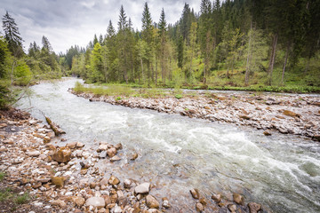 Wildnis - Stromschnellen eines Flussesführen durch einen Wald