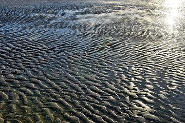 Plage de la côte Belge