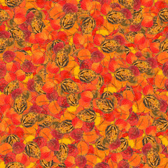 seamless background with bright multicolored leaves of aspen