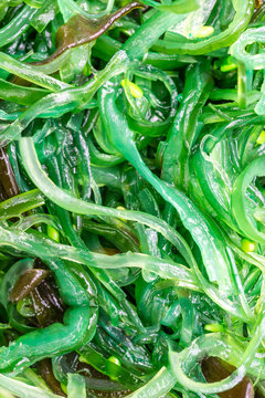 Gr&uuml;ner Algensalat 