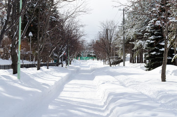 Sapporo im Schnee
