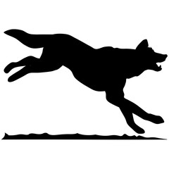 Silhouette of a dingo dog.Vector illustration 