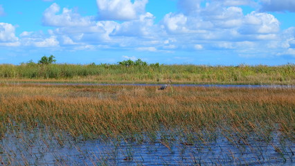 National Park, Florida